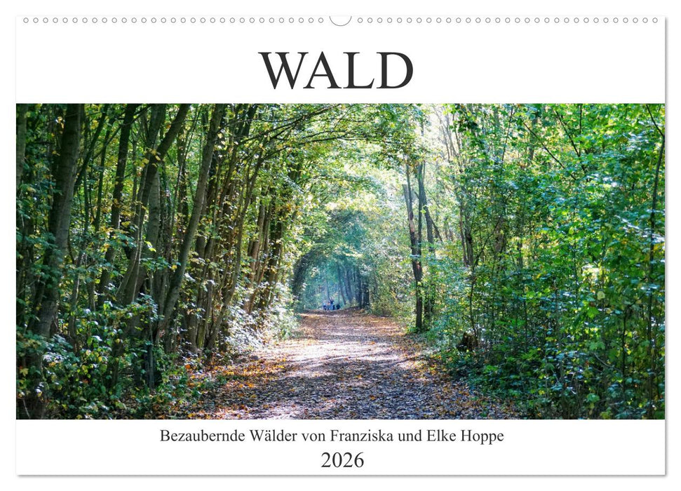 Wald - bezaubernde Wälder (CALVENDO Wandkalender 2026)