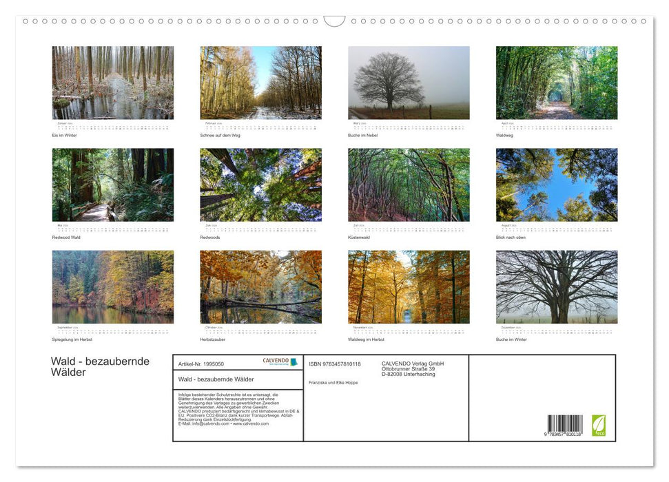 Wald - bezaubernde Wälder (CALVENDO Wandkalender 2026)