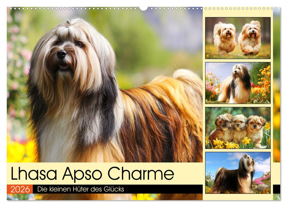 Lhasa Apso Charme. Die kleinen Hüter des Glücks (CALVENDO Wandkalender 2026)