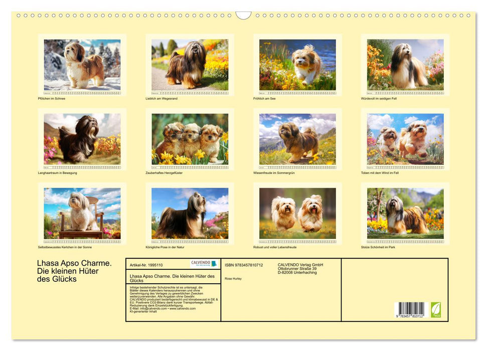 Lhasa Apso Charme. Die kleinen Hüter des Glücks (CALVENDO Wandkalender 2026)