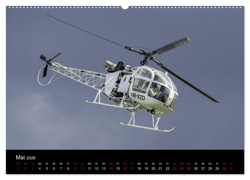 ProWing Nord Impressionen der Flugshow (CALVENDO Wandkalender 2026)