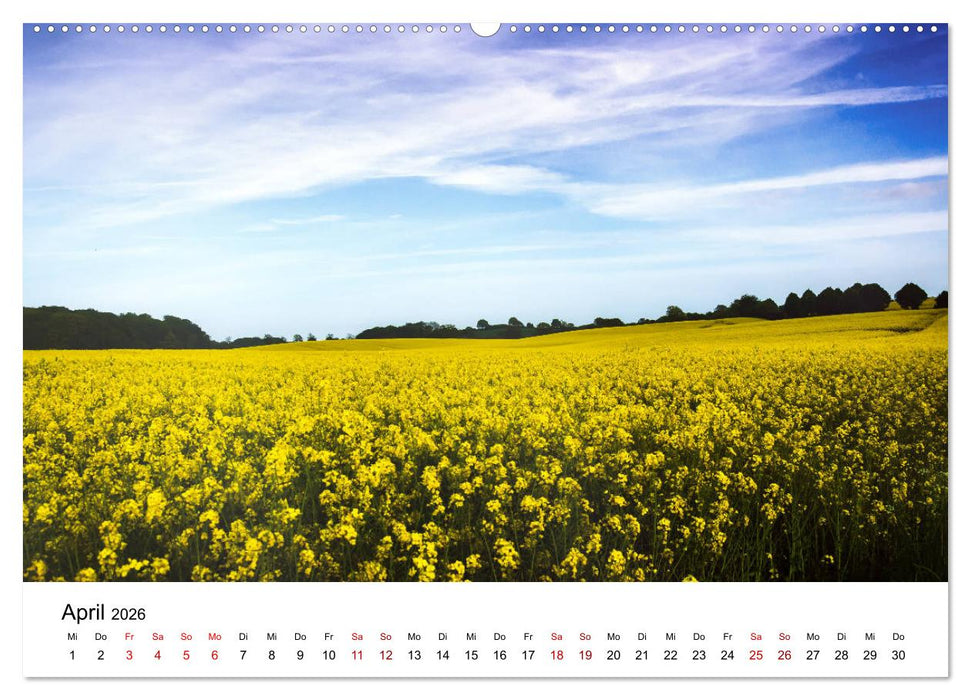 Schleswig-Holstein in 365 Farben (CALVENDO Wandkalender 2026)