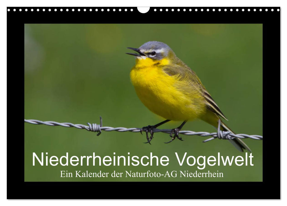 Niederrheinische Vogelwelt (CALVENDO Wandkalender 2026)