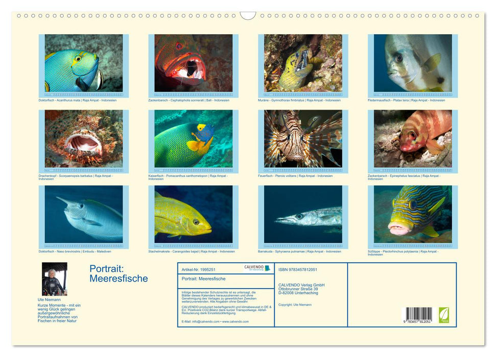 Portrait: Meeresfische (CALVENDO Wandkalender 2026)