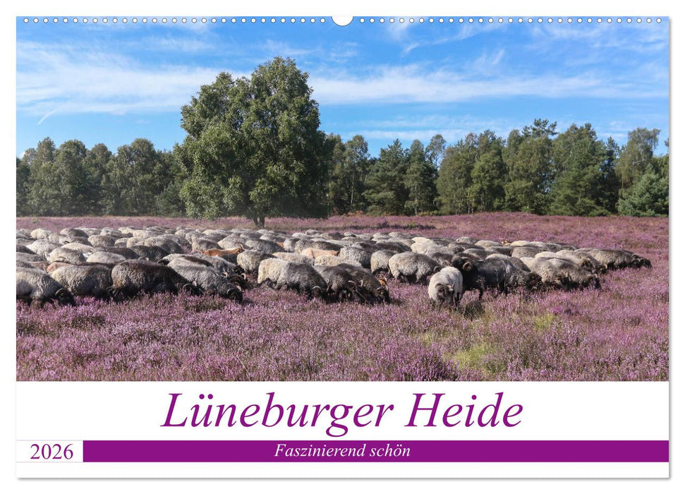 Lüneburger Heide - Faszinierend schön (CALVENDO Wandkalender 2026)