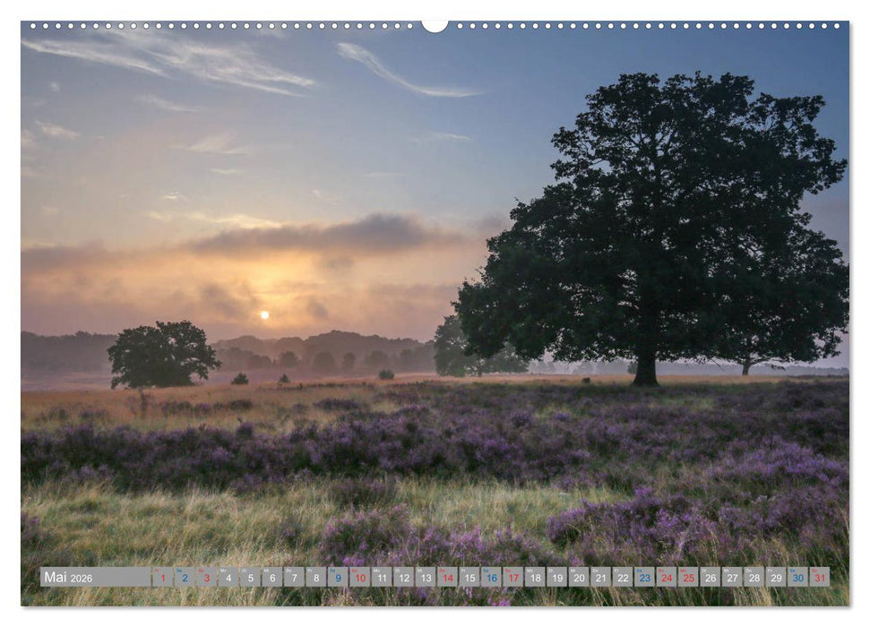 Lüneburger Heide - Faszinierend schön (CALVENDO Wandkalender 2026)