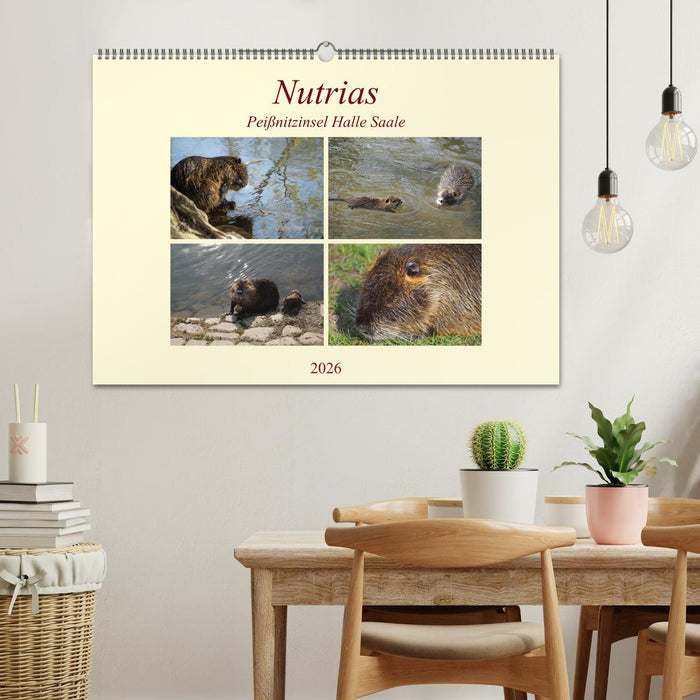 Nutrias Peißnitzinsel Halle Saale (CALVENDO Wandkalender 2026)