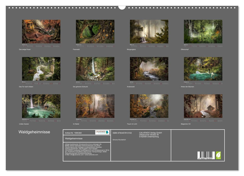 Waldgeheimnisse (CALVENDO Wandkalender 2026)
