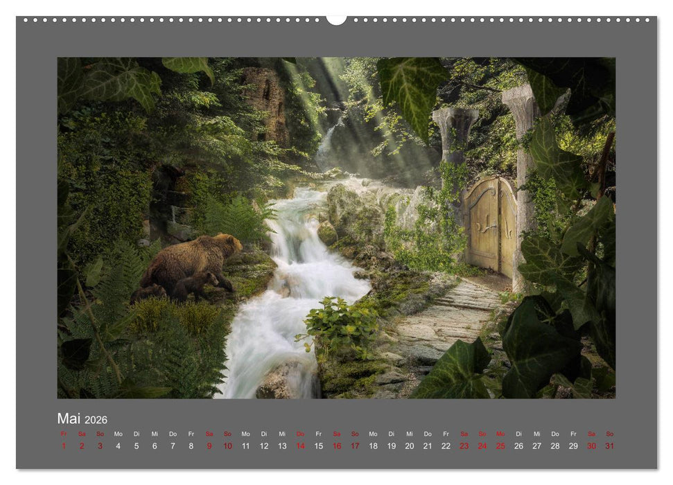 Waldgeheimnisse (CALVENDO Wandkalender 2026)