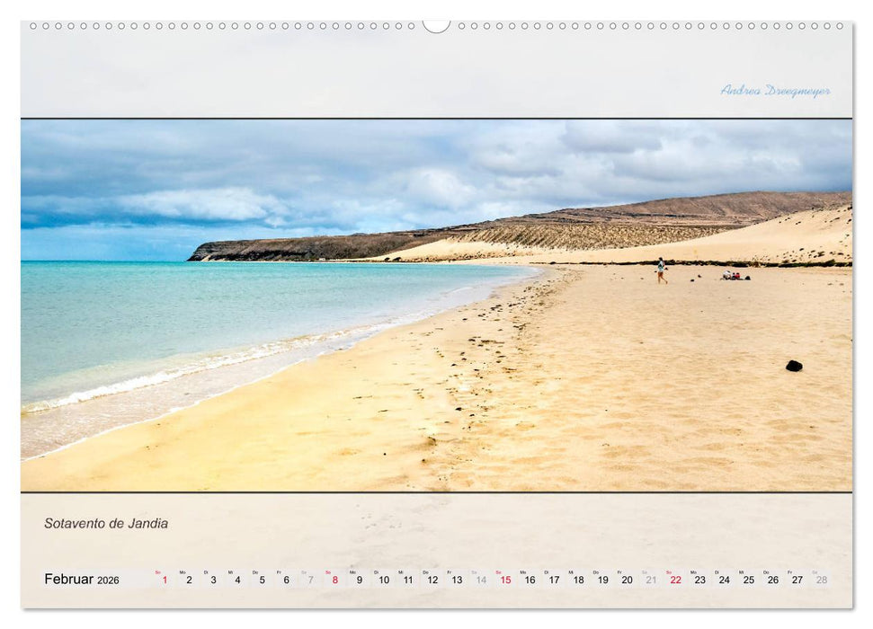 FUERTEVENTURA-PANORAMA (CALVENDO Wandkalender 2026)