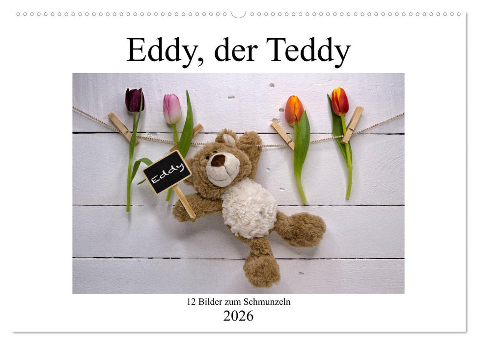 Eddy, der Teddy - 12 Bilder zum Schmunzeln (CALVENDO Wandkalender 2026)