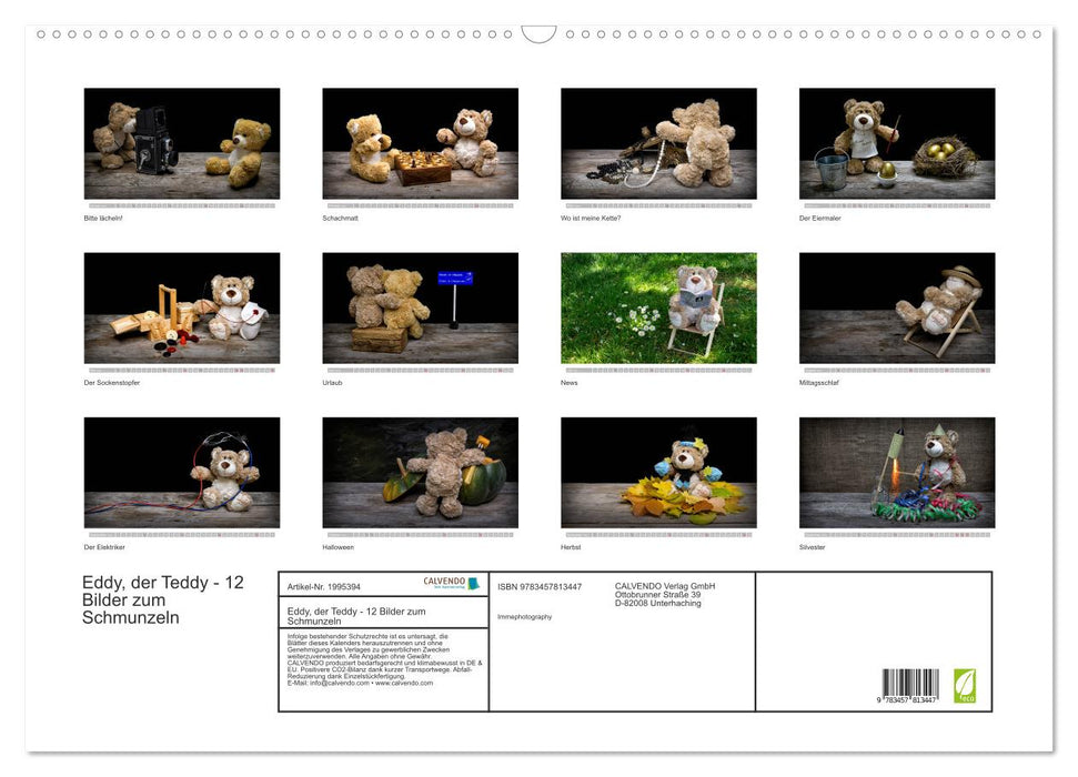 Eddy, der Teddy - 12 Bilder zum Schmunzeln (CALVENDO Wandkalender 2026)