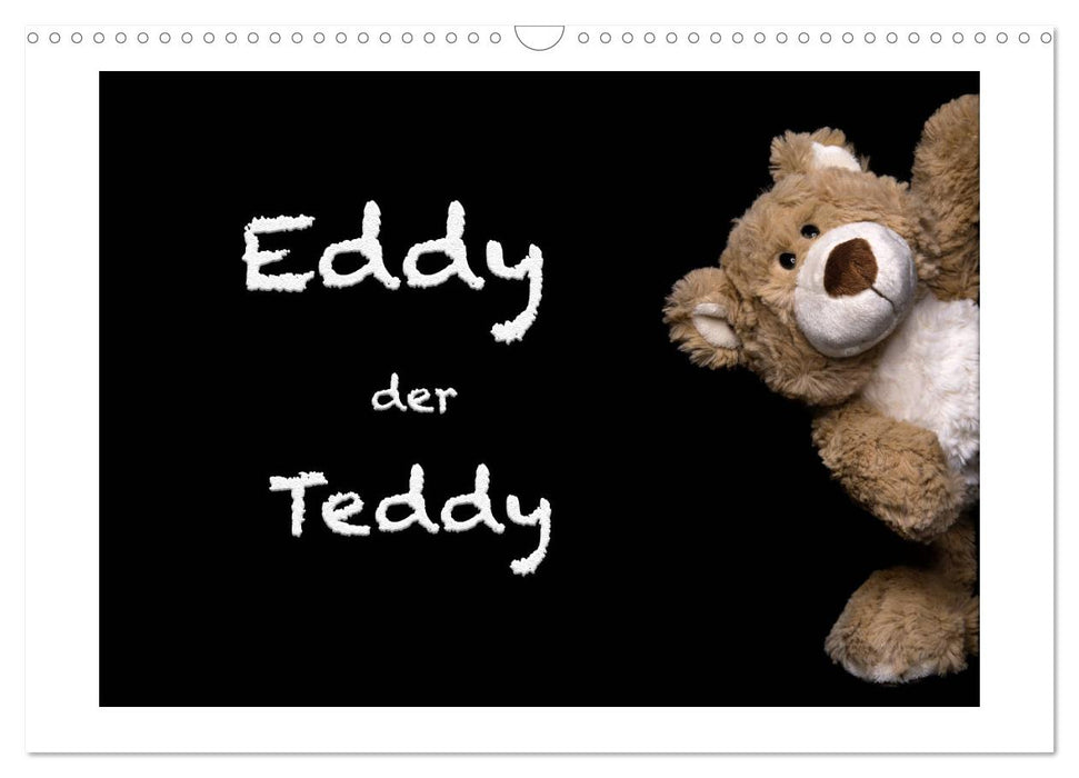 Eddy, der Teddy (CALVENDO Wandkalender 2026)