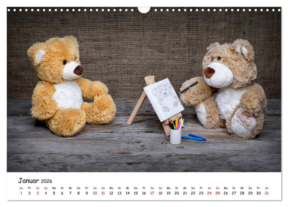 Eddy, der Teddy (CALVENDO Wandkalender 2026)