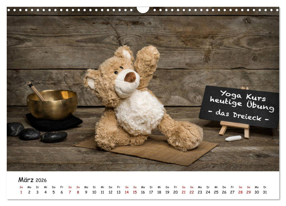 Eddy, der Teddy (CALVENDO Wandkalender 2026)