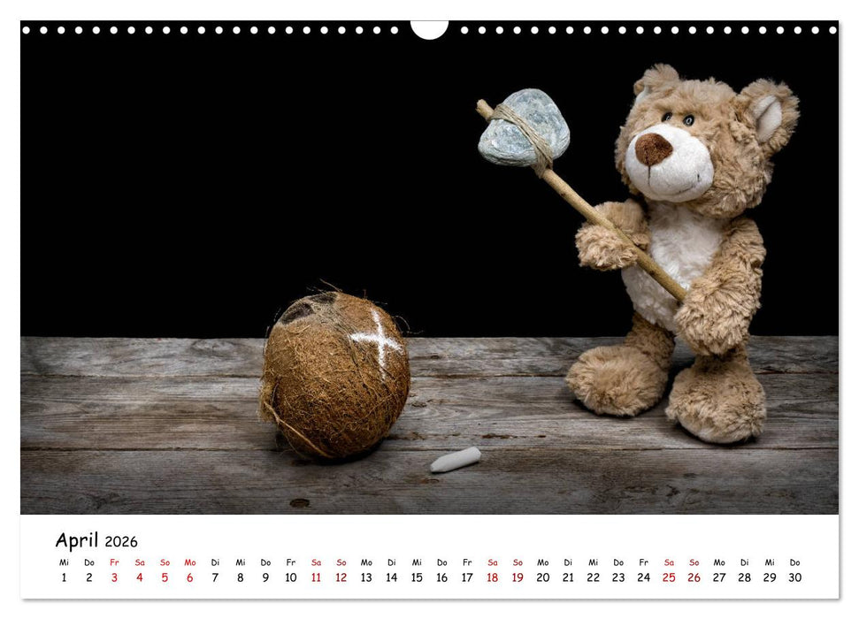 Eddy, der Teddy (CALVENDO Wandkalender 2026)