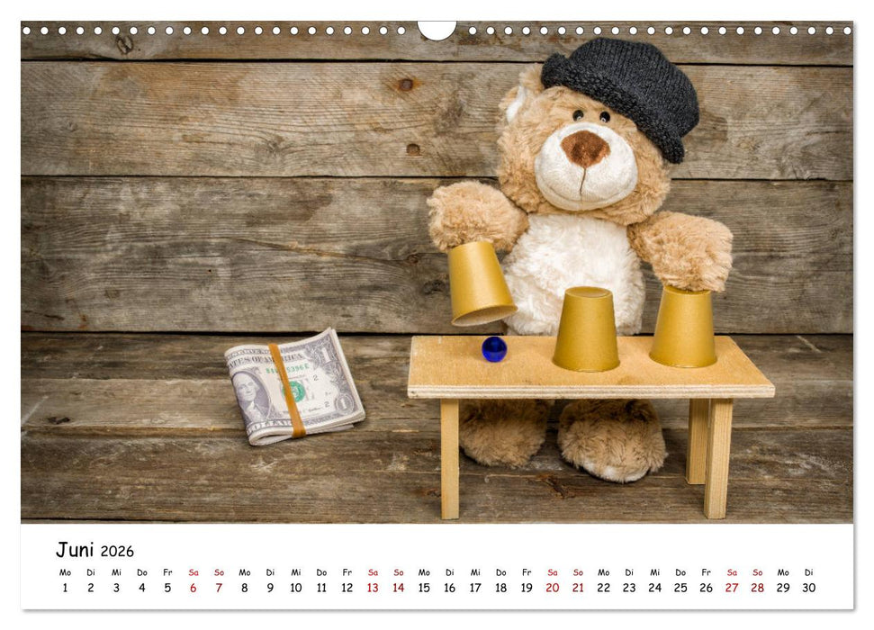 Eddy, der Teddy (CALVENDO Wandkalender 2026)