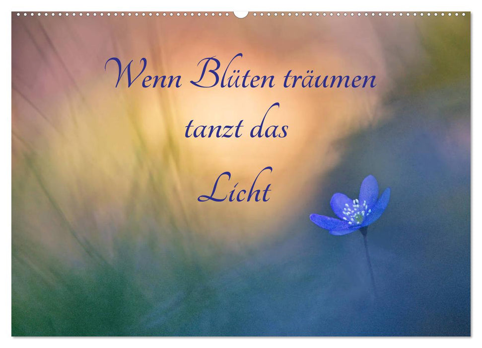 Wenn Blüten träumen tanzt das Licht (CALVENDO Wandkalender 2026)