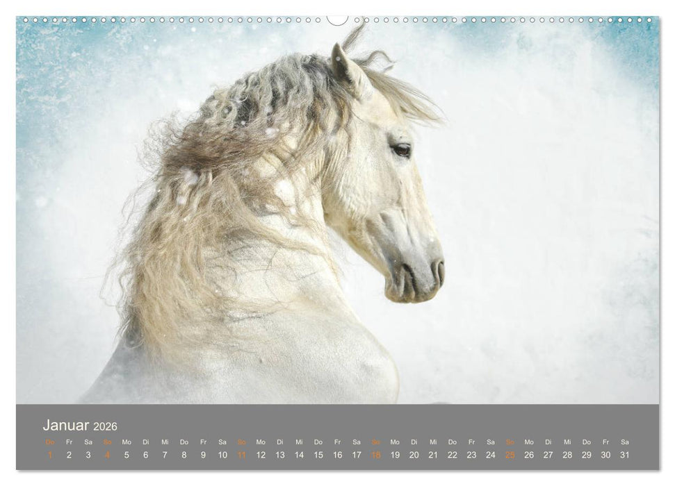 FANTASY Pferde Horses Caballos (CALVENDO Wandkalender 2026)