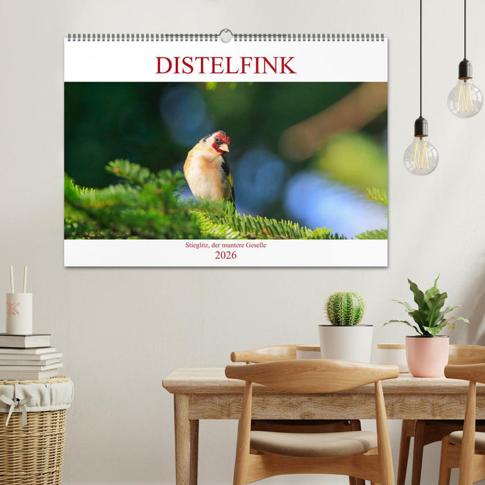 Distelfink (CALVENDO Wandkalender 2026)