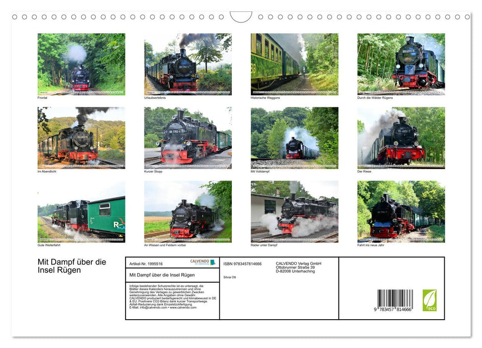 Mit Dampf über die Insel Rügen (CALVENDO Wandkalender 2026)