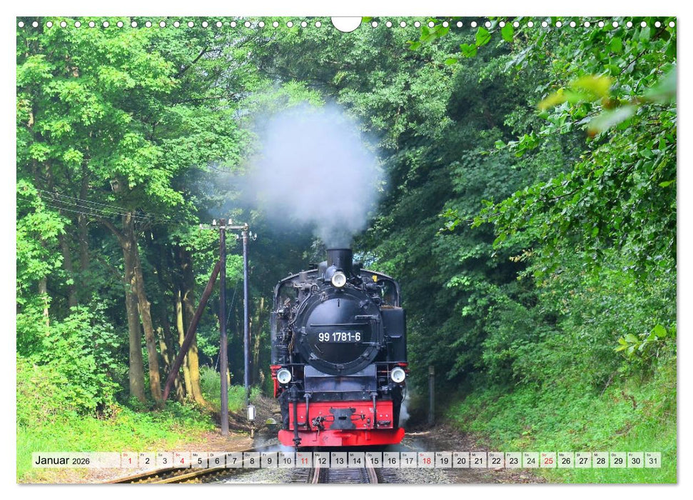 Mit Dampf über die Insel Rügen (CALVENDO Wandkalender 2026)