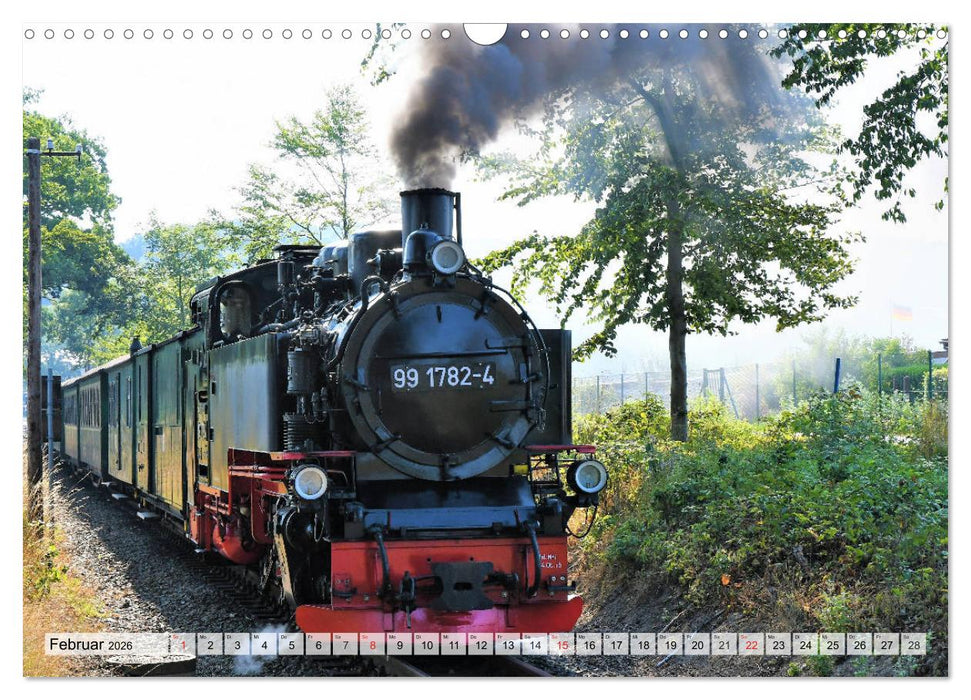 Mit Dampf über die Insel Rügen (CALVENDO Wandkalender 2026)