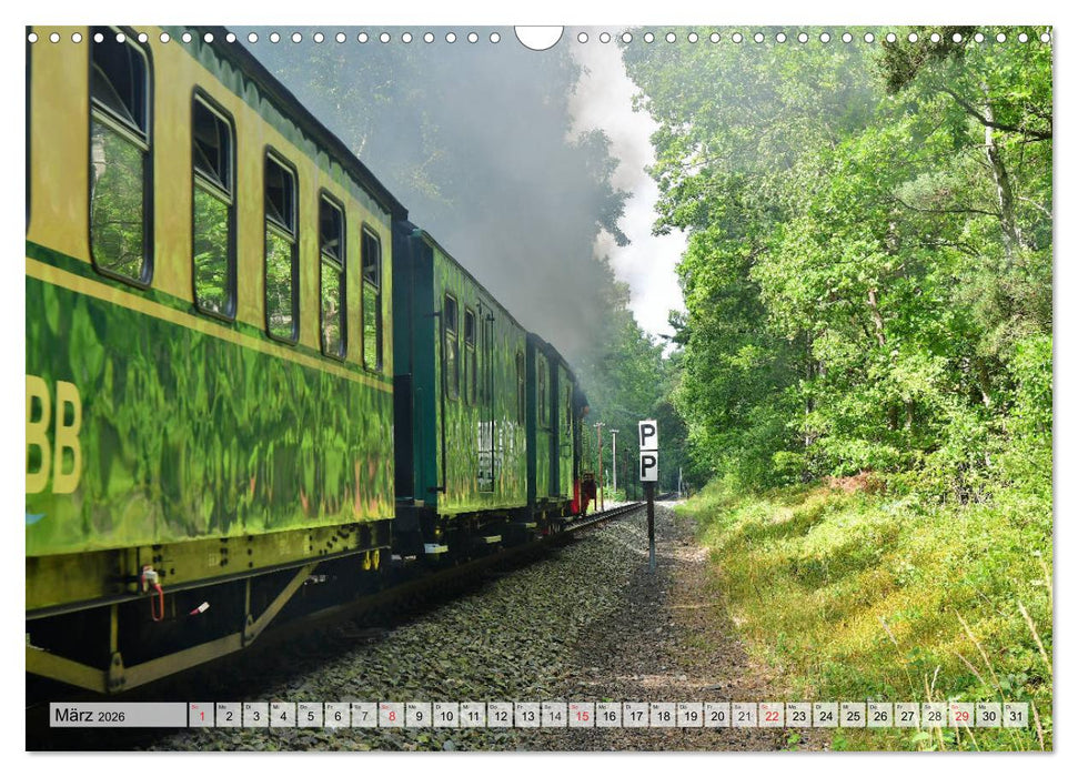 Mit Dampf über die Insel Rügen (CALVENDO Wandkalender 2026)