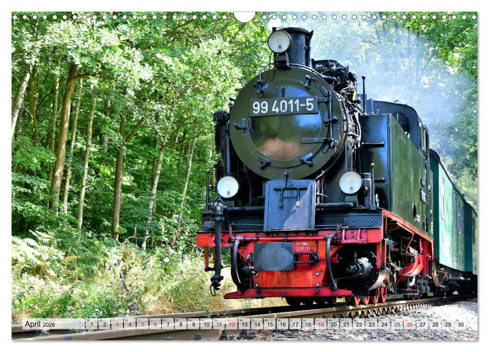 Mit Dampf über die Insel Rügen (CALVENDO Wandkalender 2026)