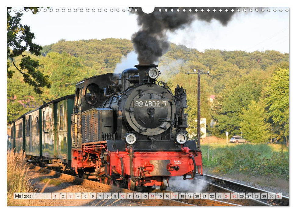 Mit Dampf über die Insel Rügen (CALVENDO Wandkalender 2026)