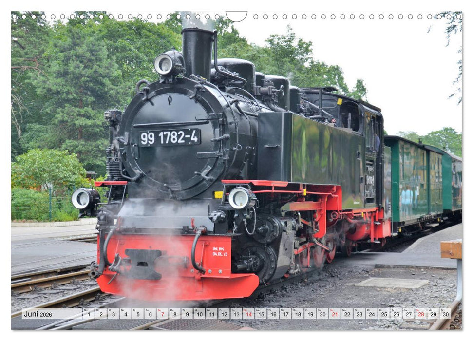 Mit Dampf über die Insel Rügen (CALVENDO Wandkalender 2026)