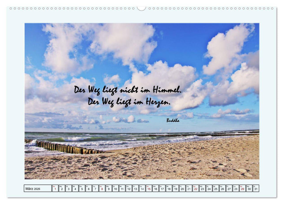 Zitate und Weisheiten (CALVENDO Wandkalender 2026)