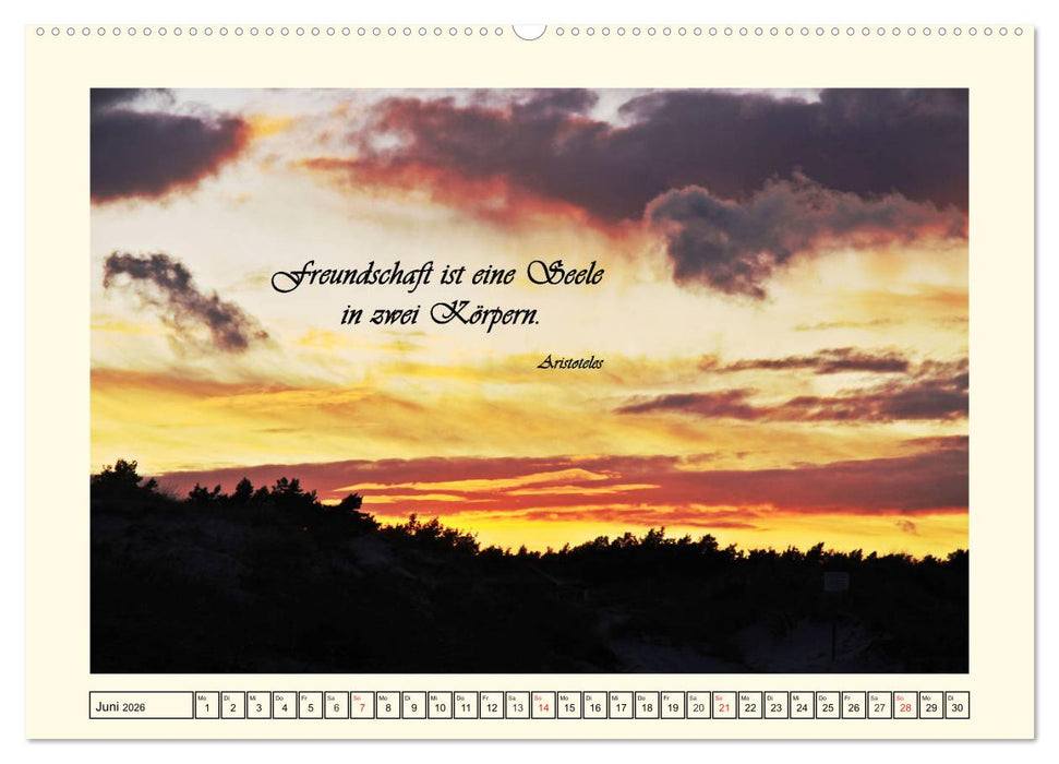 Zitate und Weisheiten (CALVENDO Wandkalender 2026)