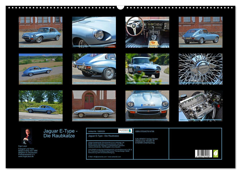 Jaguar E-Type - Die Raubkatze (CALVENDO Wandkalender 2026)