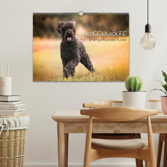 Lockenwölfe - Energiebündel Pudel (CALVENDO Wandkalender 2026)