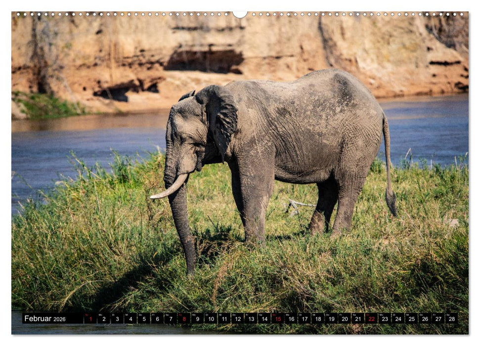 Sambia "Das wirkliche Afrika" (CALVENDO Wandkalender 2026)