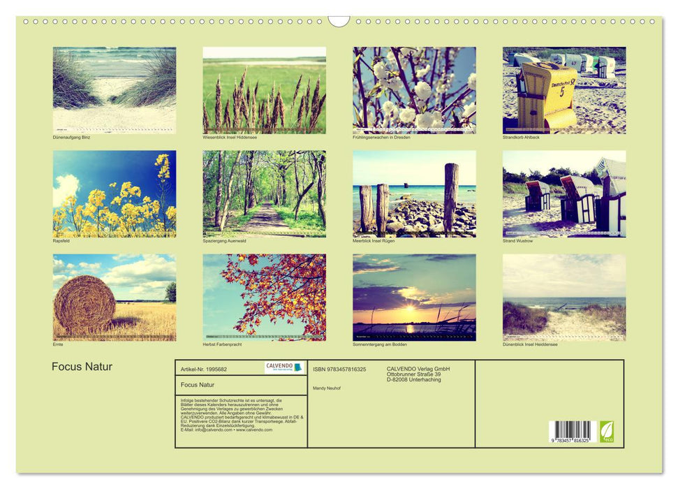Focus Natur (CALVENDO Wandkalender 2026)