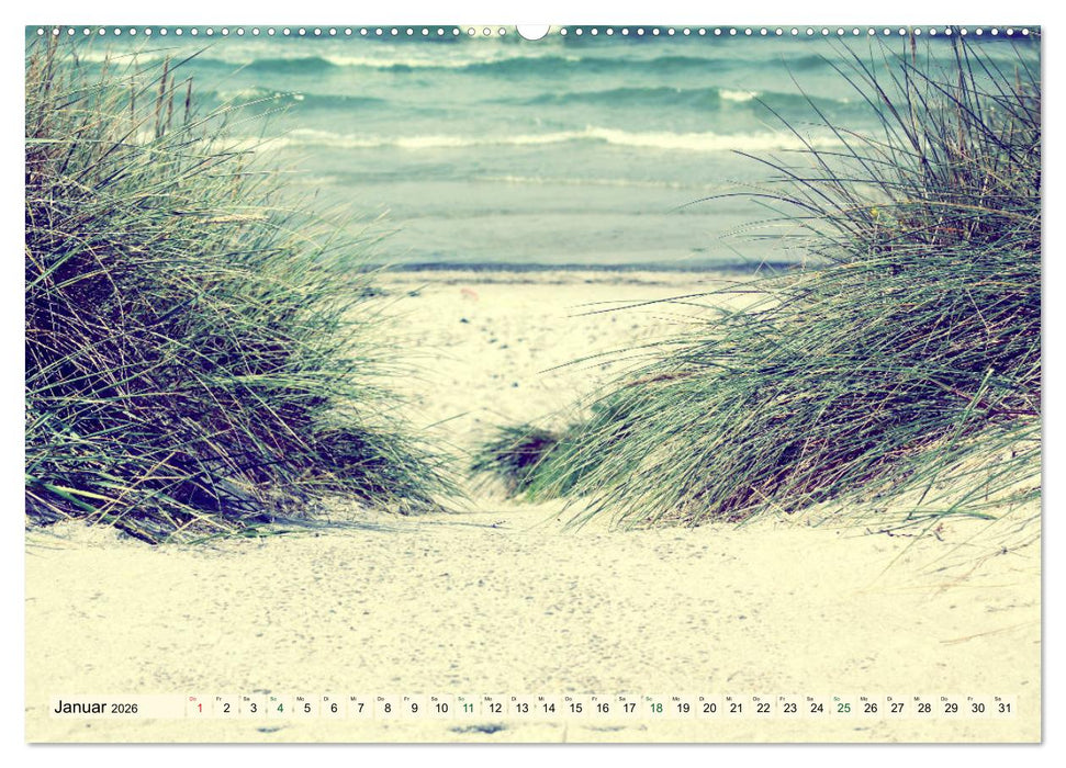 Focus Natur (CALVENDO Wandkalender 2026)