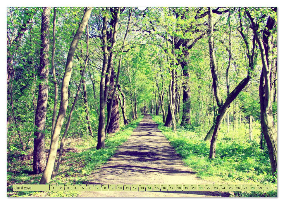 Focus Natur (CALVENDO Wandkalender 2026)