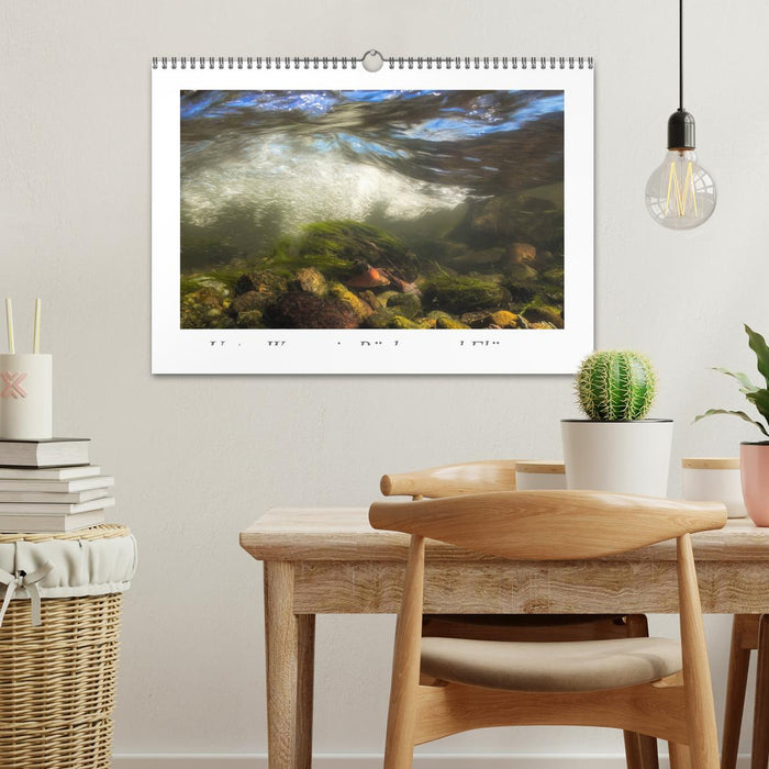 Unter Wasser in Bächen und Flüssen (CALVENDO Wandkalender 2026)