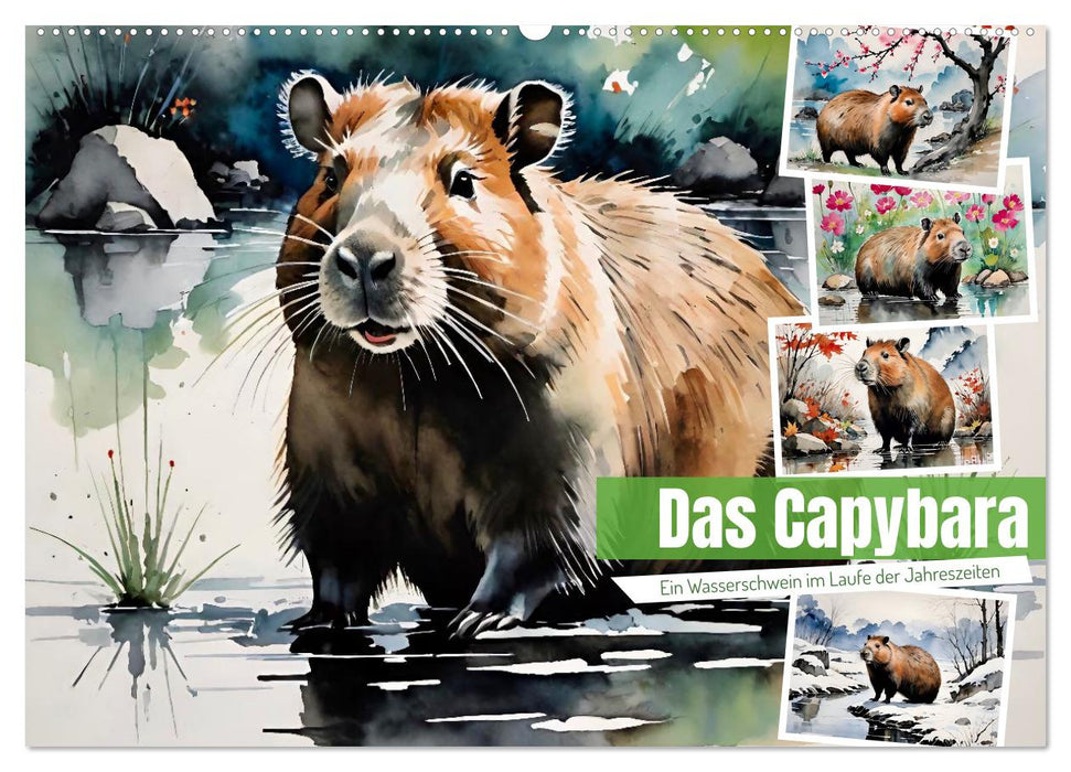 Das Capybara (CALVENDO Wandkalender 2026)