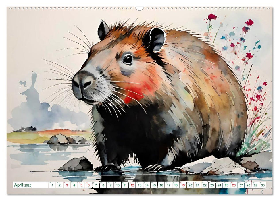 Das Capybara (CALVENDO Wandkalender 2026)