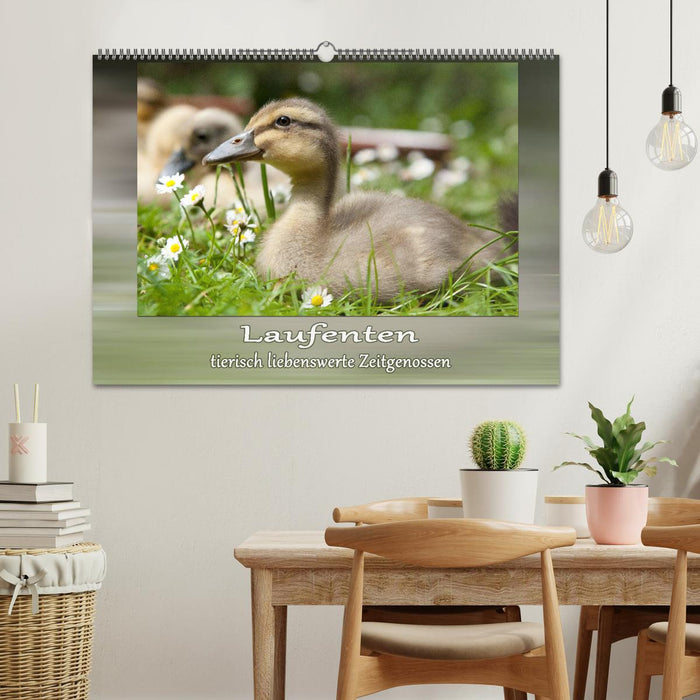 Laufenten - tierisch liebenswerte Zeitgenossen (CALVENDO Wandkalender 2026)