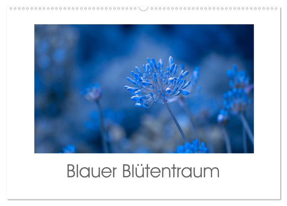 Blauer Blütentraum (CALVENDO Wandkalender 2026)