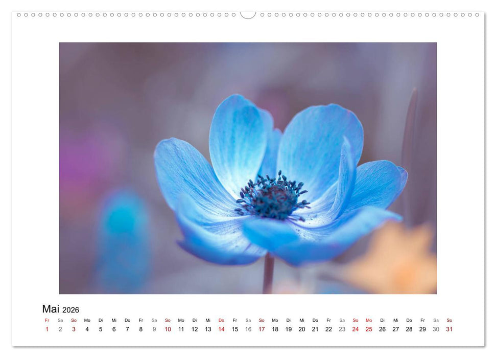Blauer Blütentraum (CALVENDO Wandkalender 2026)