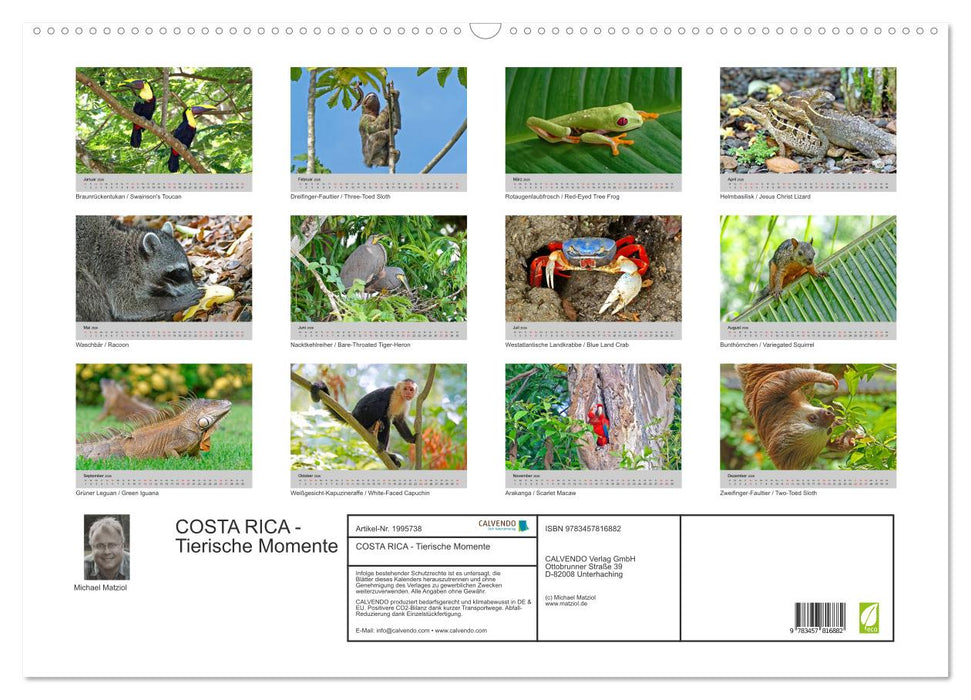 COSTA RICA - Tierische Momente (CALVENDO Wandkalender 2026)