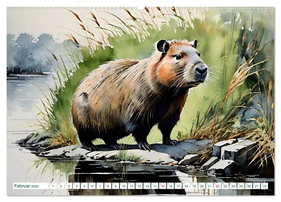 Das Capybara (CALVENDO Premium Wandkalender 2026)