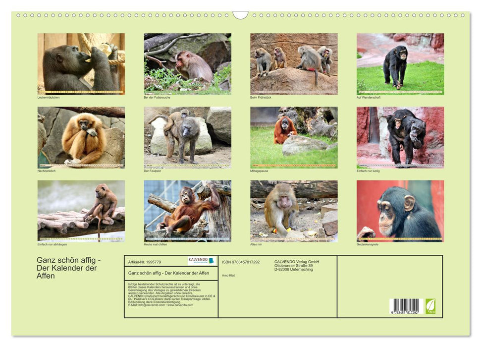 Ganz schön affig - Der Kalender der Affen (CALVENDO Wandkalender 2026)