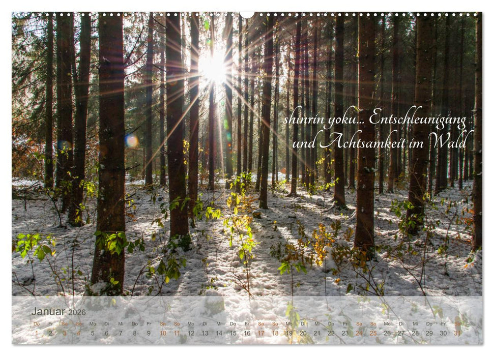 Shinrin yoku - Waldbaden 2026 (CALVENDO Wandkalender 2026)