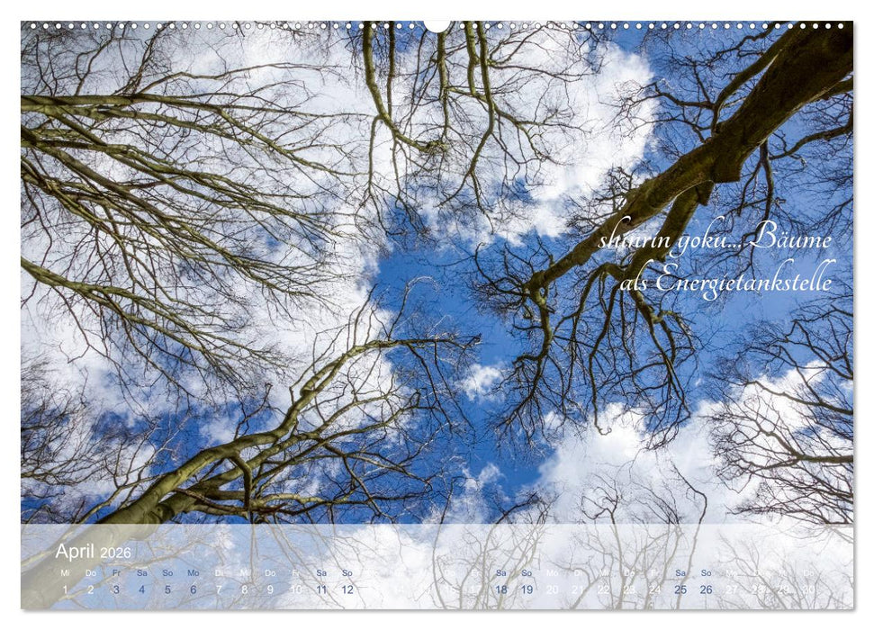 Shinrin yoku - Waldbaden 2026 (CALVENDO Wandkalender 2026)